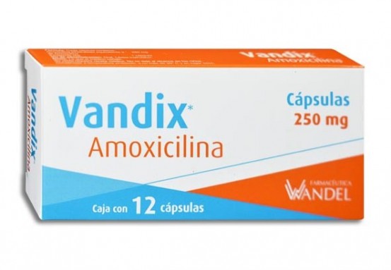 Amoxicillin Generic 250mg 24 caps.