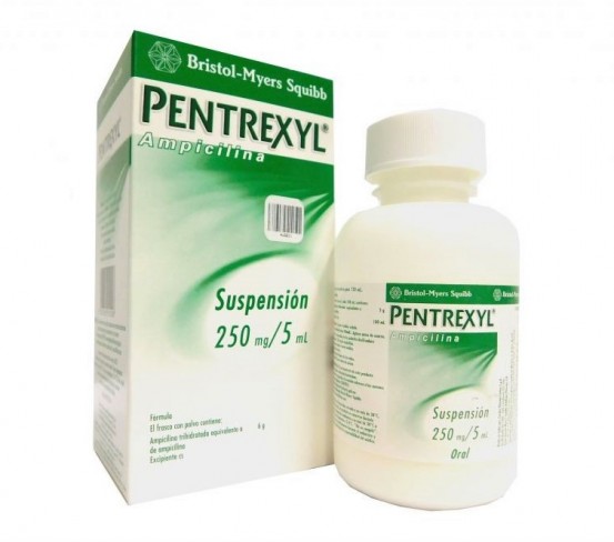 Ampicillin Pentrexyl  Susp 250 mg 120 ml