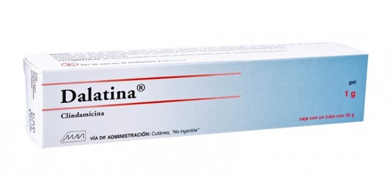 Cleocin V Generic Cream,clindamicina 1gr/30gr vaginal